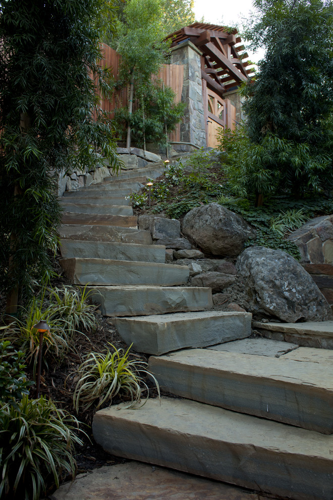 Photo of a tropical garden in San Francisco.