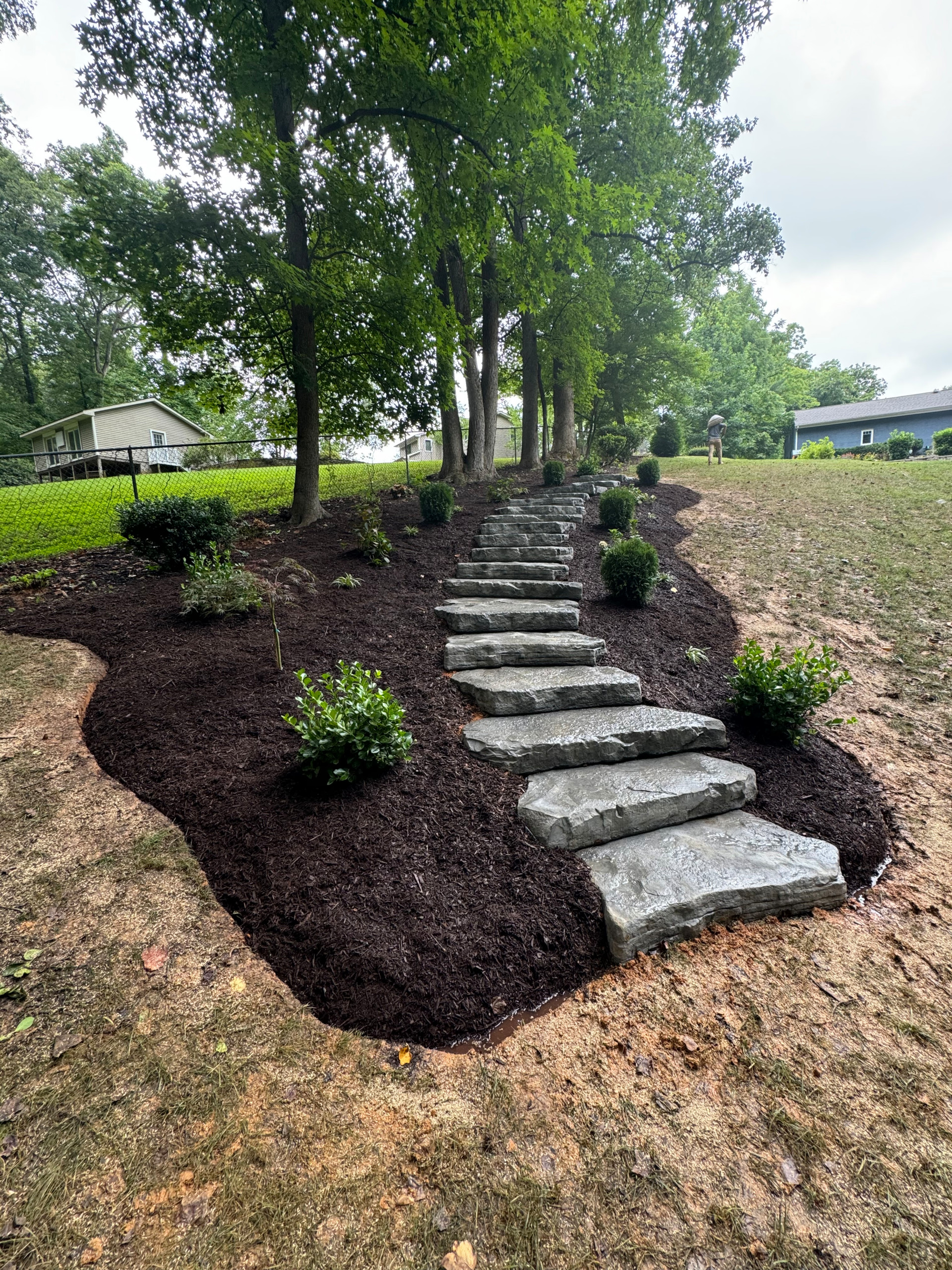 Our Work