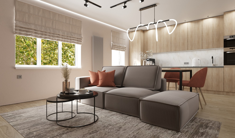 Кухня-гостиная