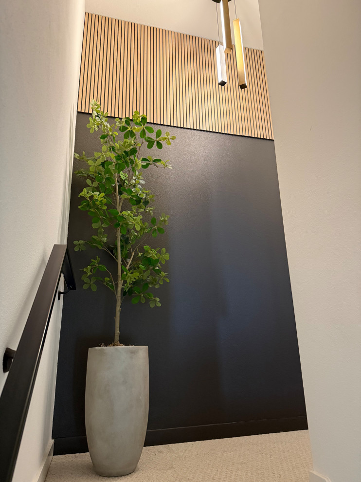 Curated Corners