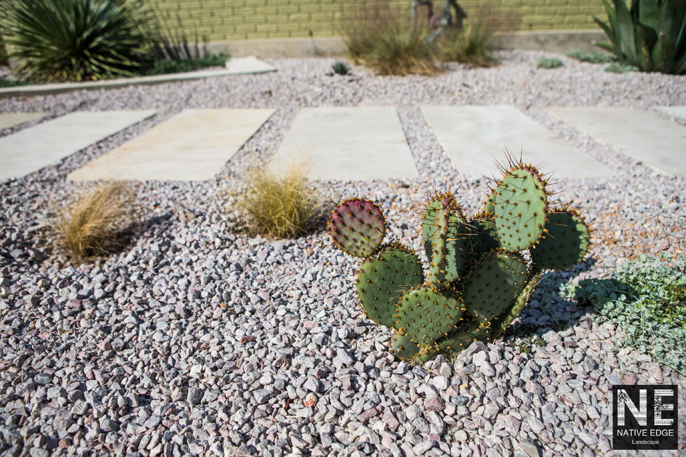 Photo of a medium sized modern side xeriscape garden in Austin with a garden path and natural stone paving.