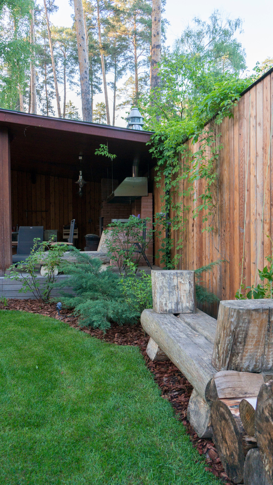 Дерево и Камень