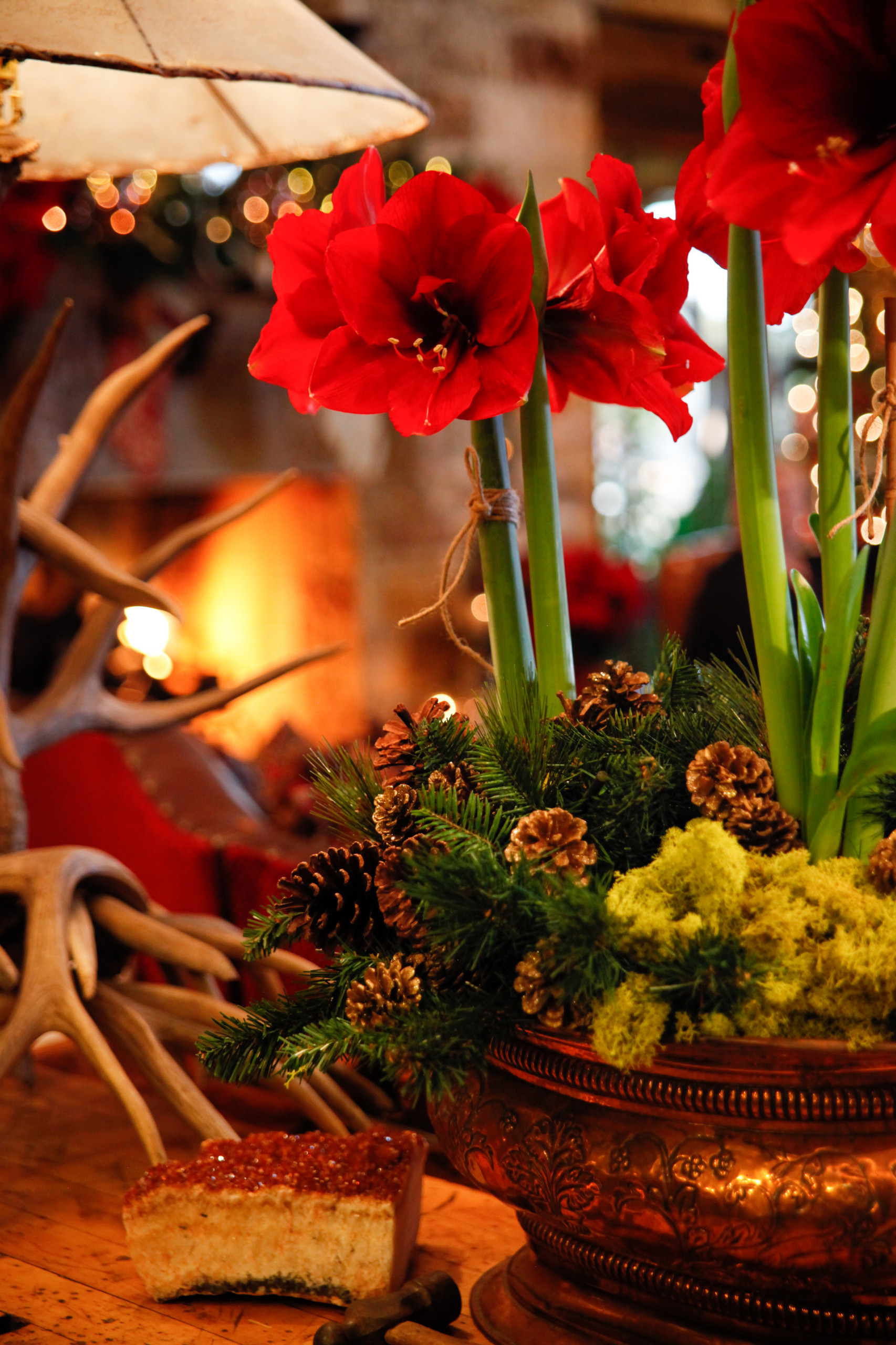 Christmas and Holiday Decorating