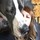 jessica_gunderson74