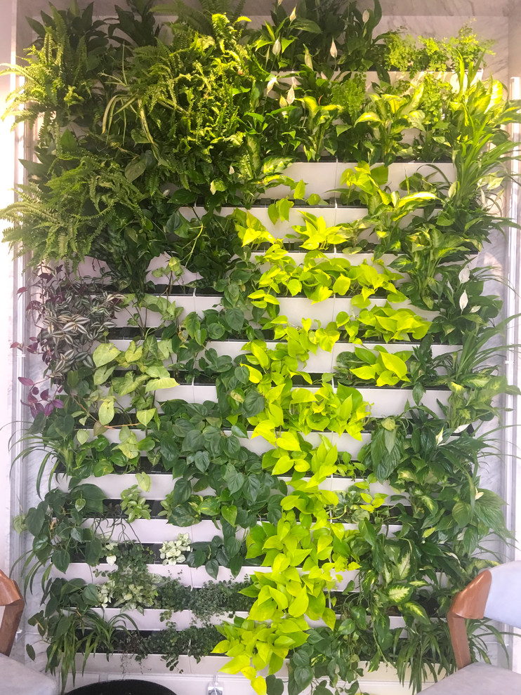 Зеленая живая стена