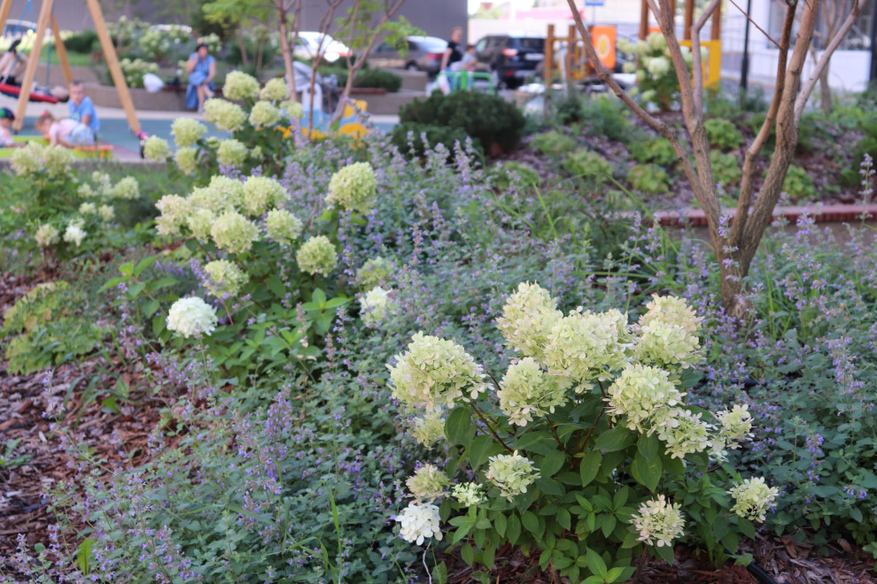 ЖК "Европейский"