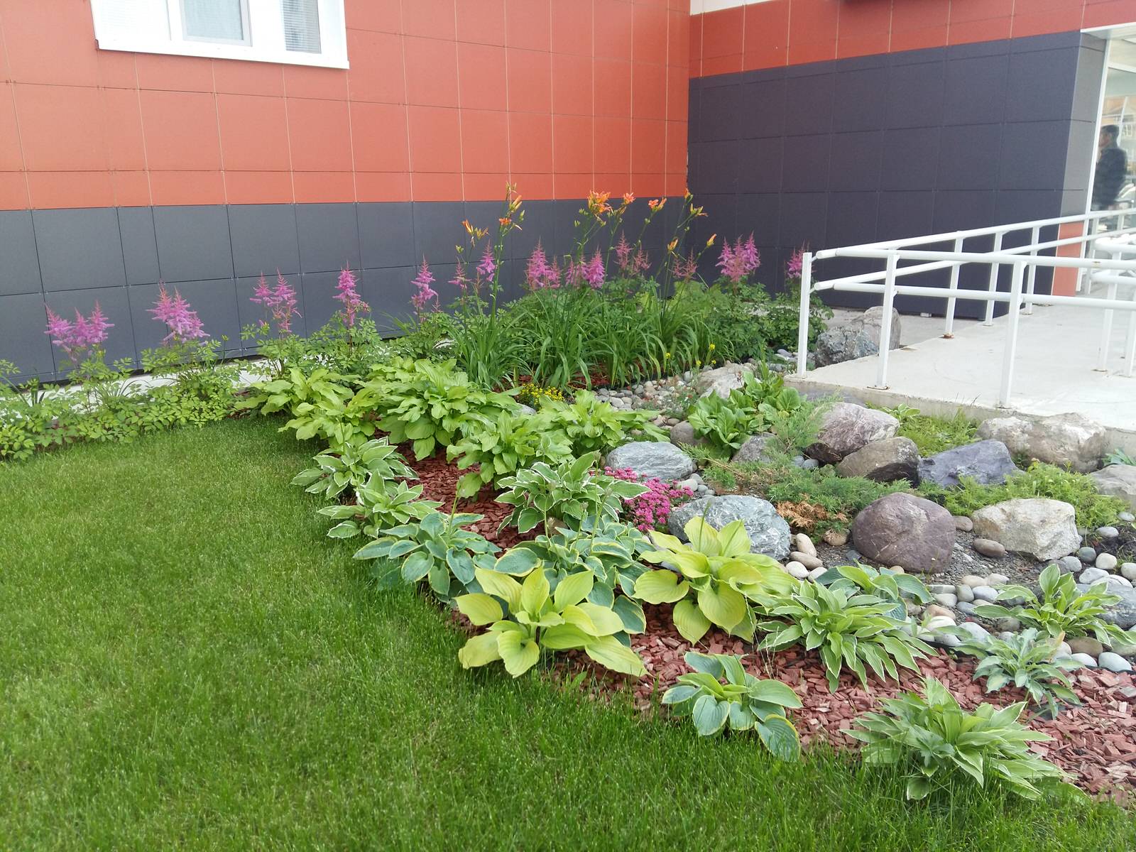 Красота у подъезда