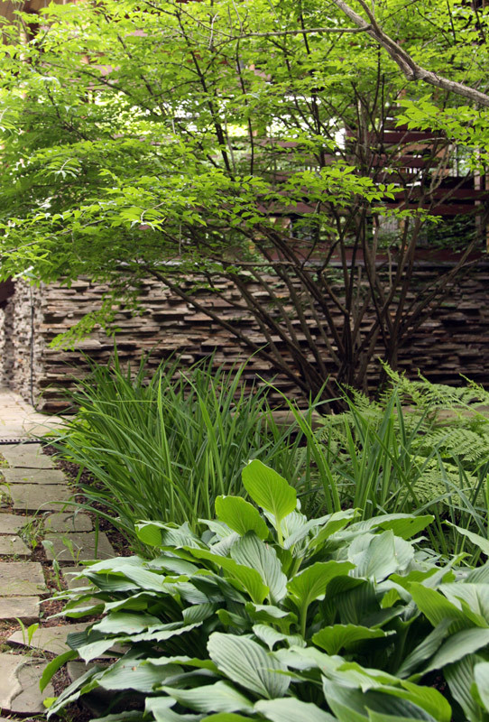 Большой сад для дружной семьи