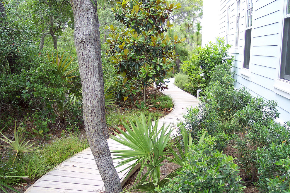 Small beach style side yard shaded garden in Miami with decking and a garden path for summer.