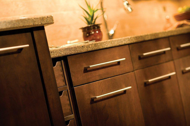 Transitional Treasure transitional-kitchen
