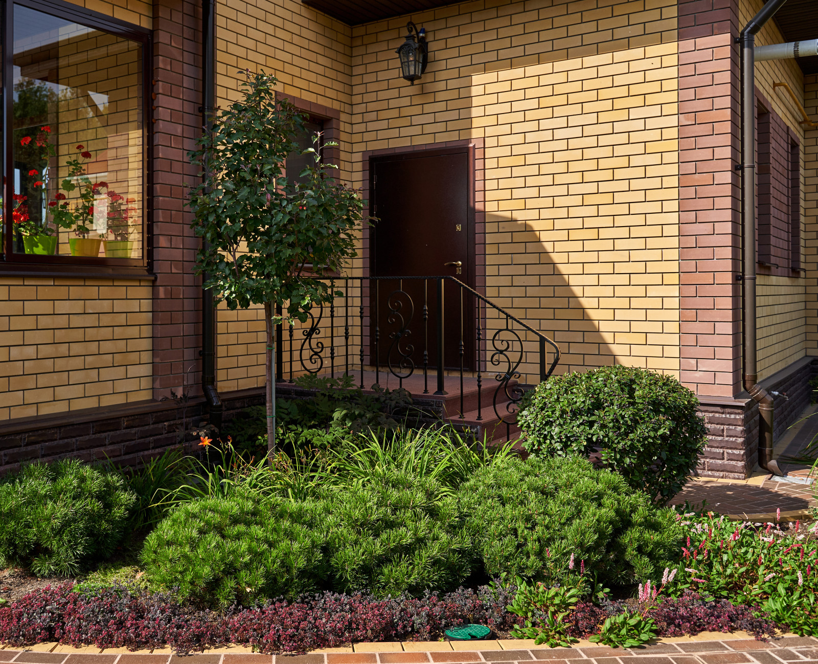 Сад в розовой дымке