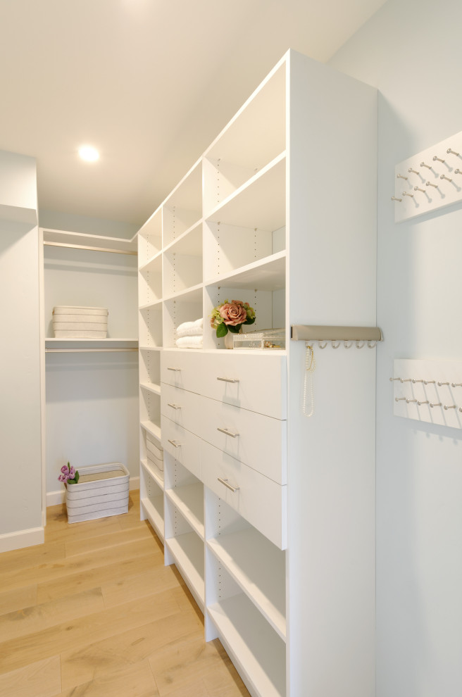 Photo of a transitional storage and wardrobe.