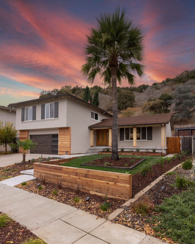 Modern Haven