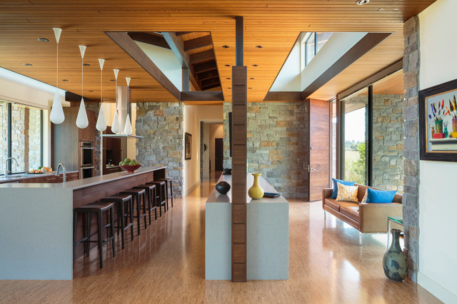 Westwind Residence - Entry / Kitchen mid-century-eingang
