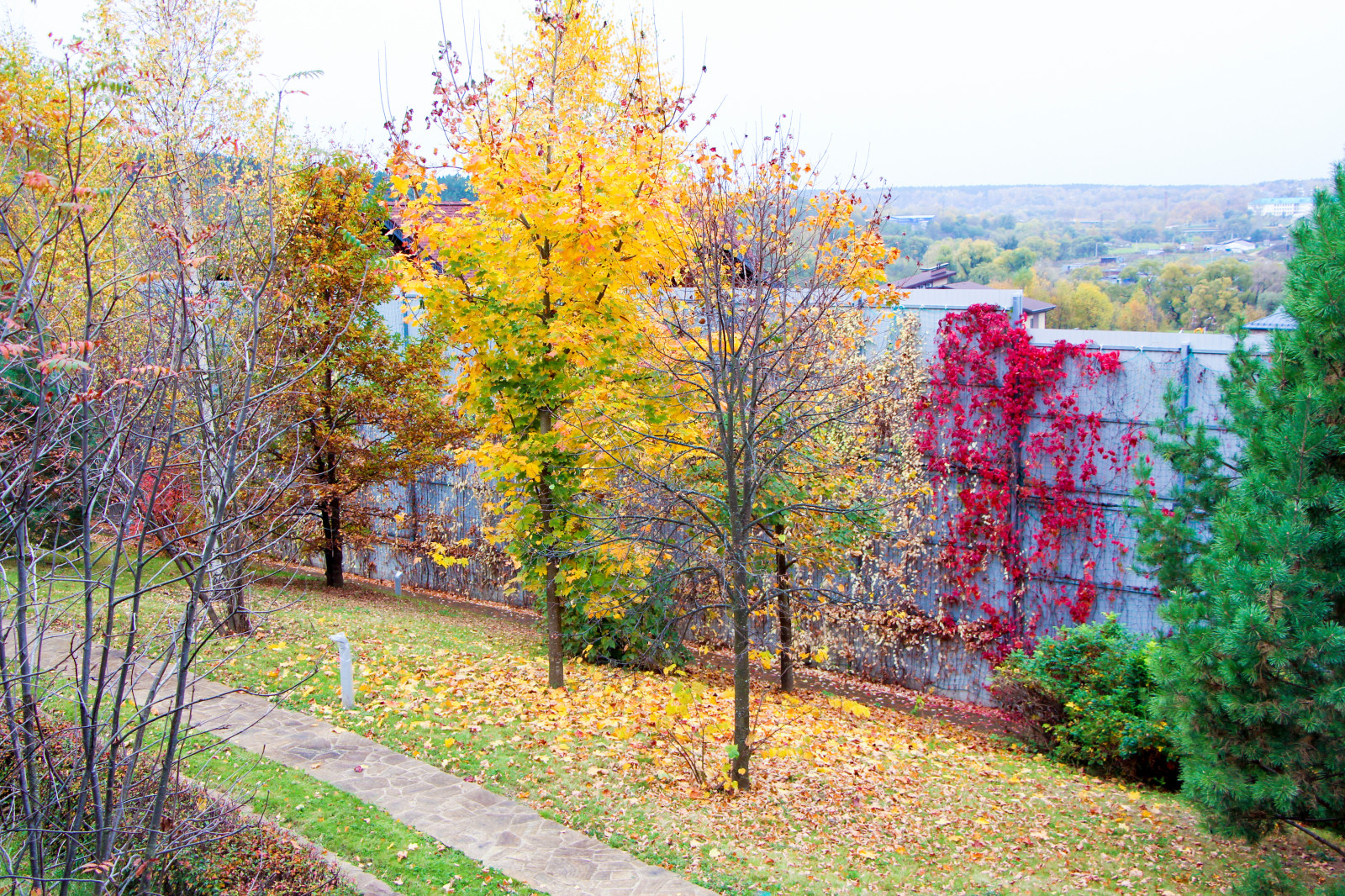 Лобаново, 2012-2021 гг.