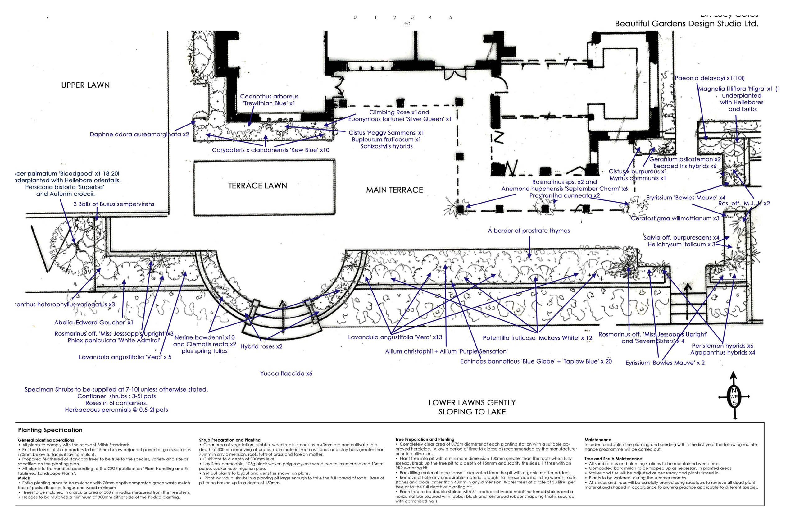 Planting plan for terrace area