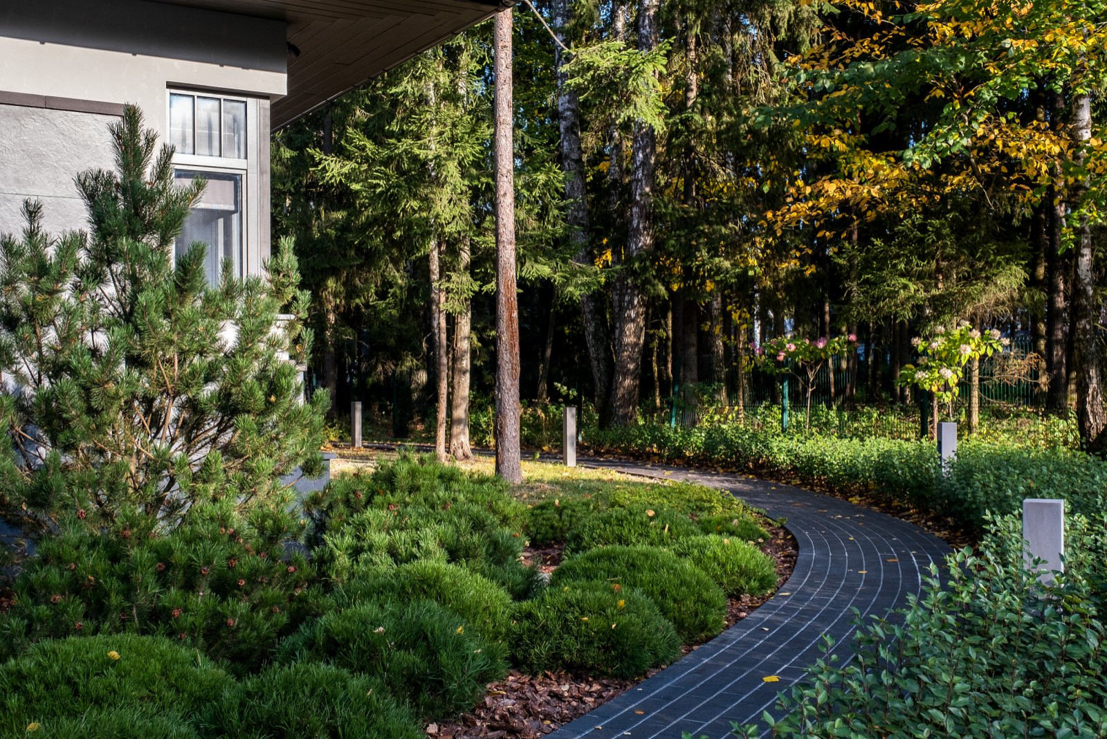 Загородный дом. Новогорск. Сентябрь 2023