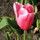 webuser_96670061561