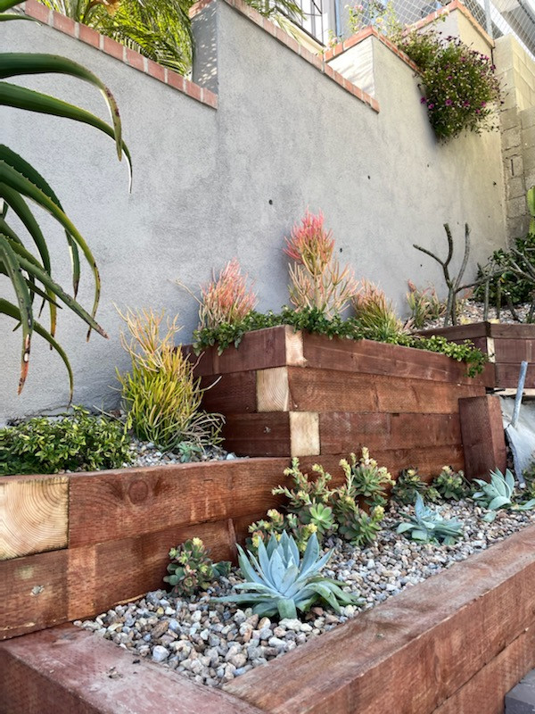 San Pedro, CA: Palm Springs Mid-Mod by the Beach