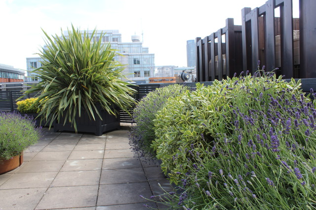 Santander House Roof Terrace contemporary-deck