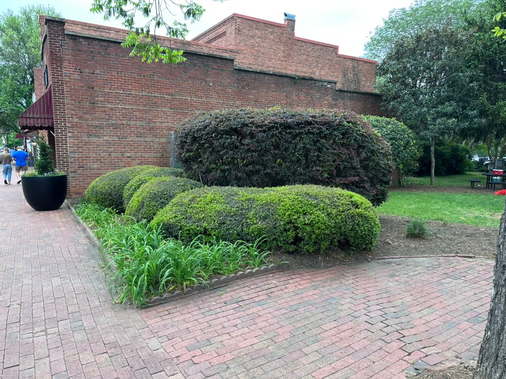 Veterans Memorial Park, Davidson, NC