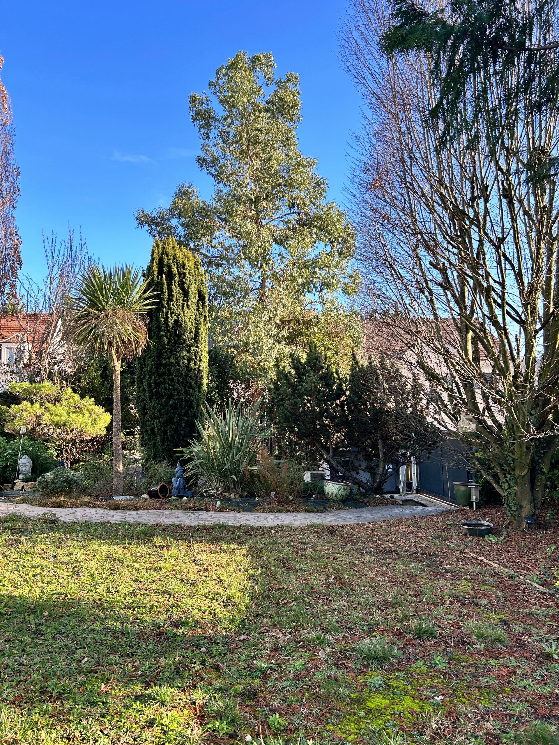 Jardin en Pots : Un Écrin de Nature