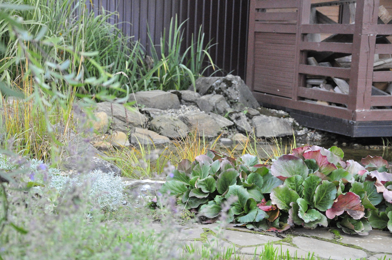 д. Коровино - Уход за садом - 100% качество