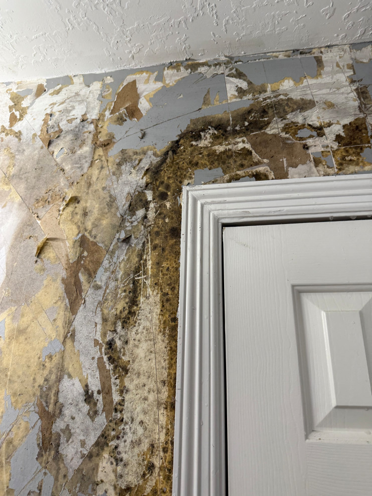 Bathroom Remodelation