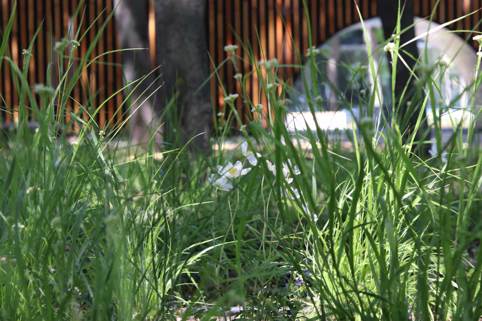 Парк Орленок