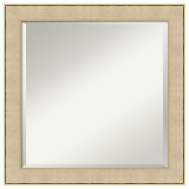 Classic Honey Silver Framed Wall Mirror Transitional Wall Mirrors