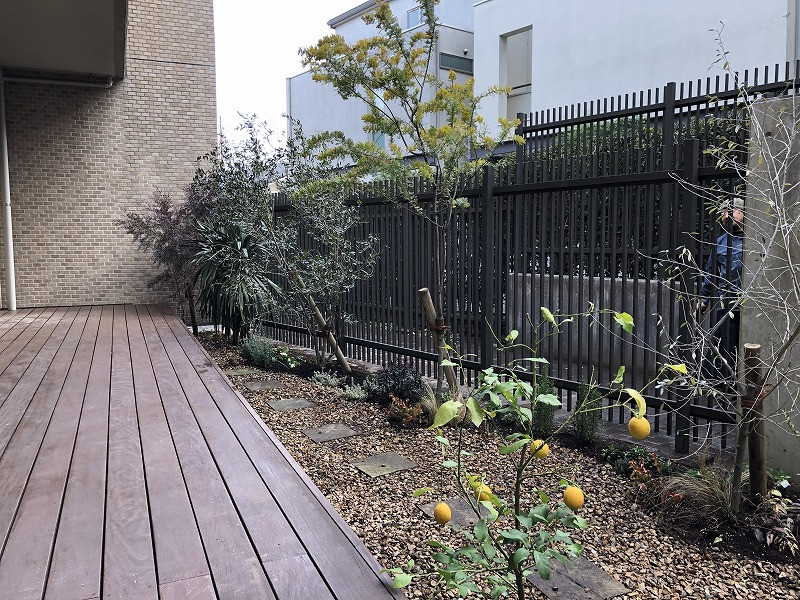 This is an example of a small modern backyard full sun xeriscape for winter in Tokyo with with privacy feature.