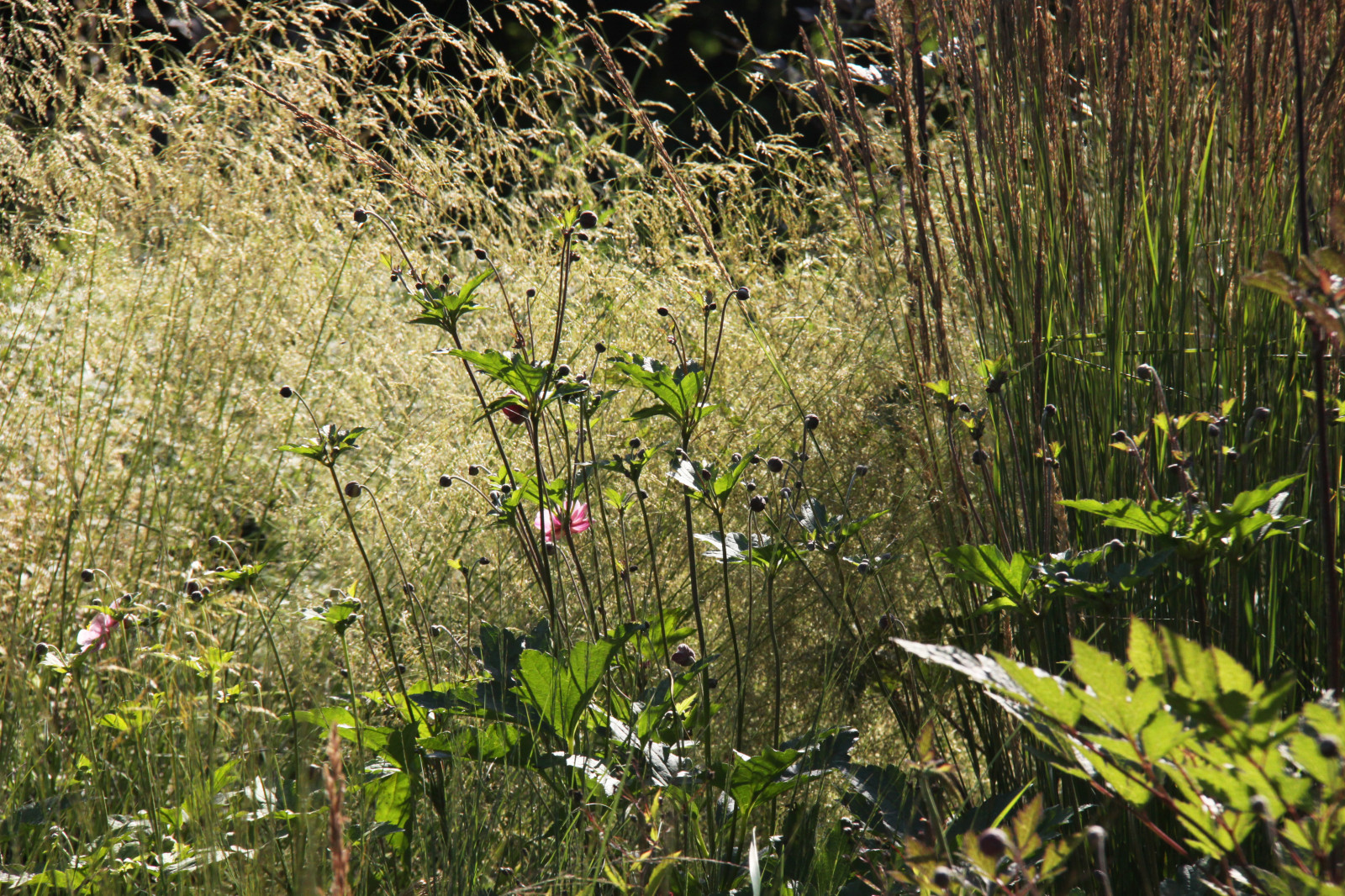 В духе ретро