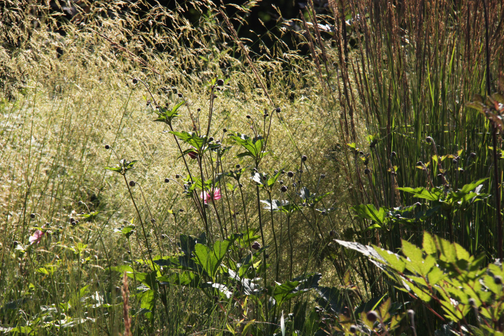 В духе ретро