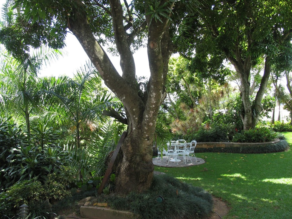 Photo of a tropical backyard shaded garden in Miami.