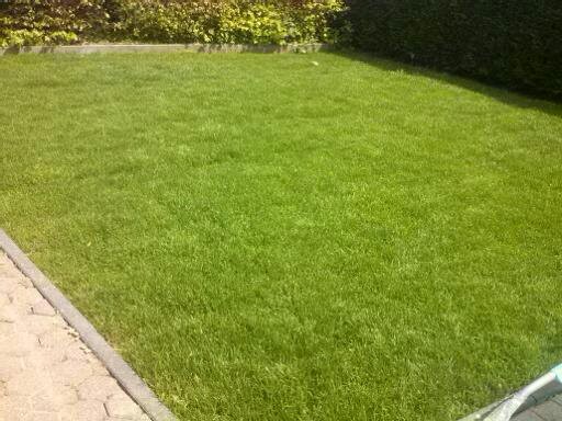 Gartengestaltung garden