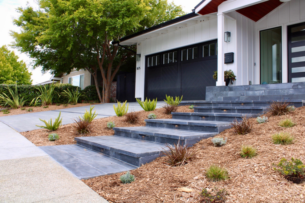 Monochromatic Burlingame Backyard