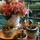 alessandro_cavallo0