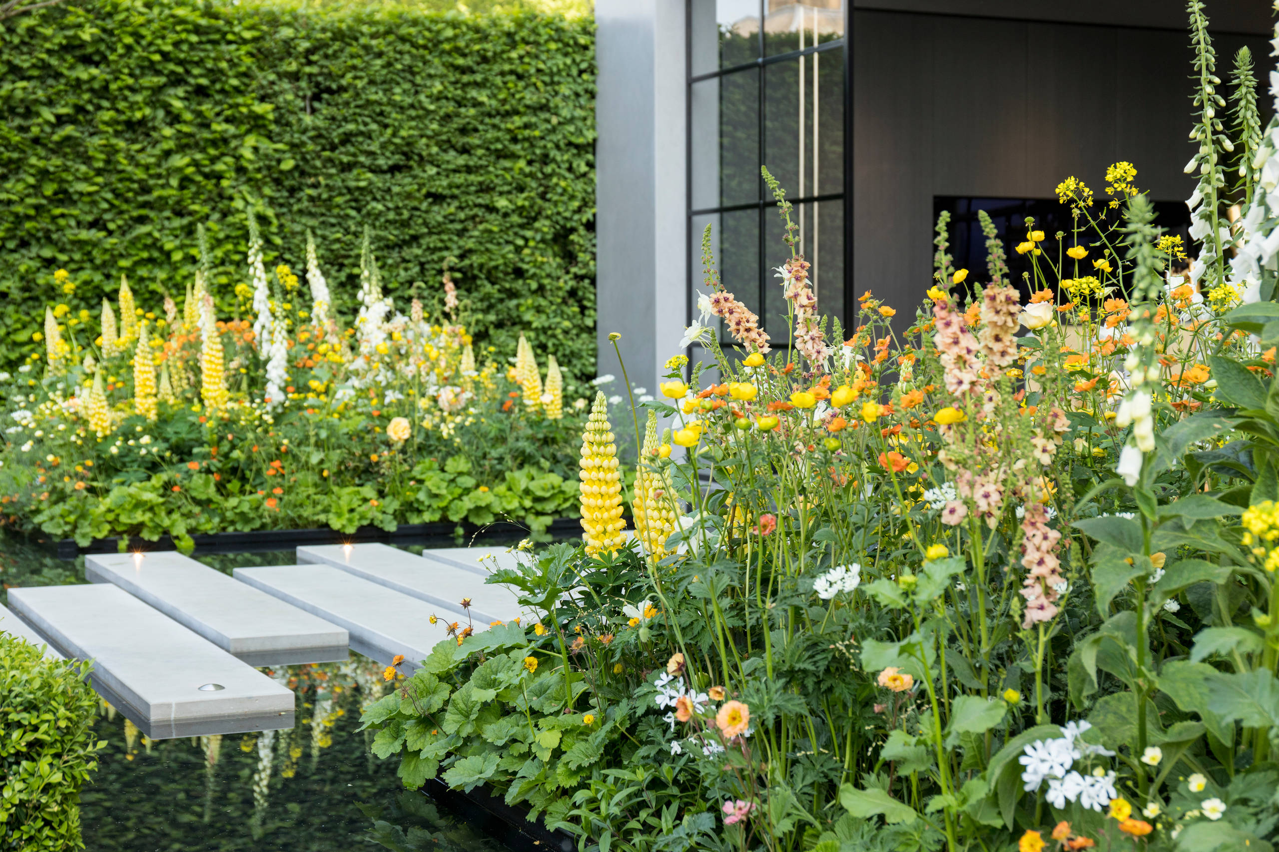 Уроки Chelsea Flower Show: Сад хорошего самочувствия | Houzz Россия