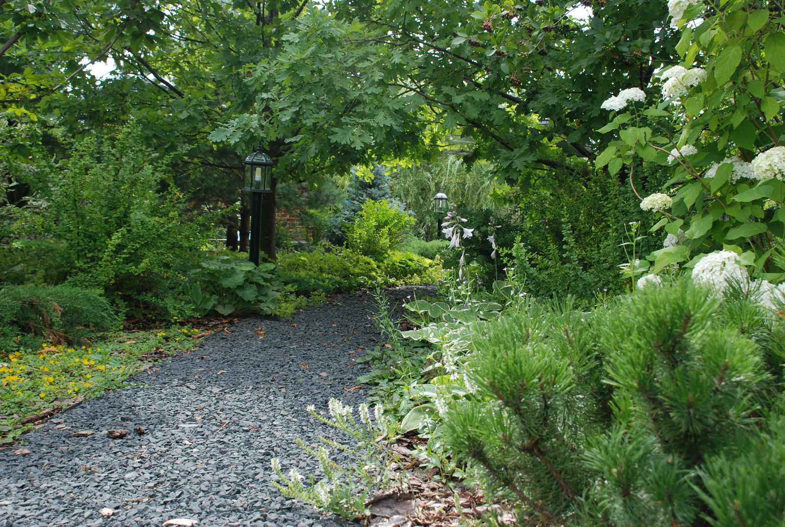 Современный сад в КП "Променад"