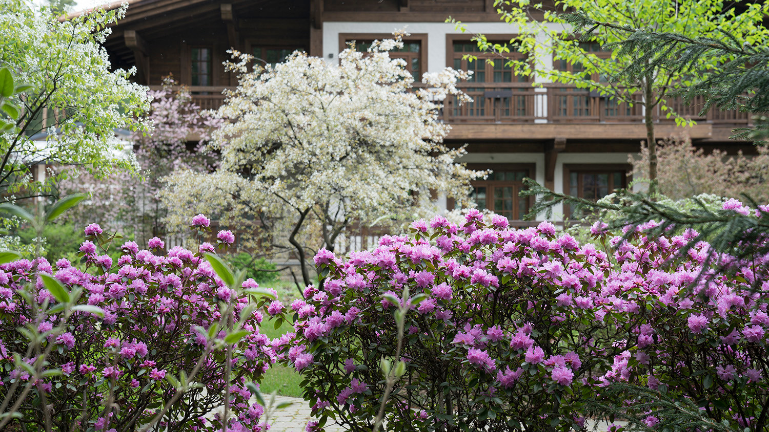 Мечта об Альпах. КП "Вымпел", Новорижское шоссе. 2017 г.
