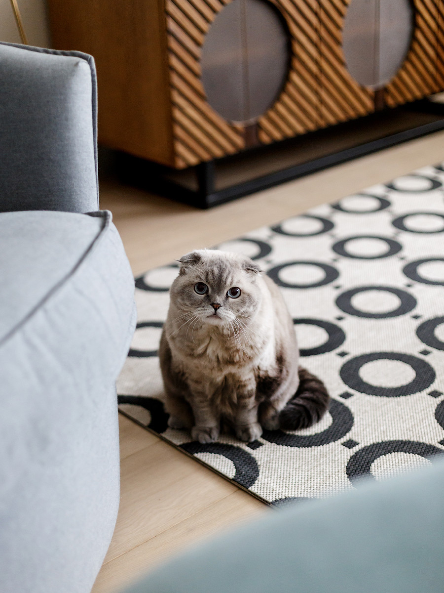 Рецепт яркой жизни