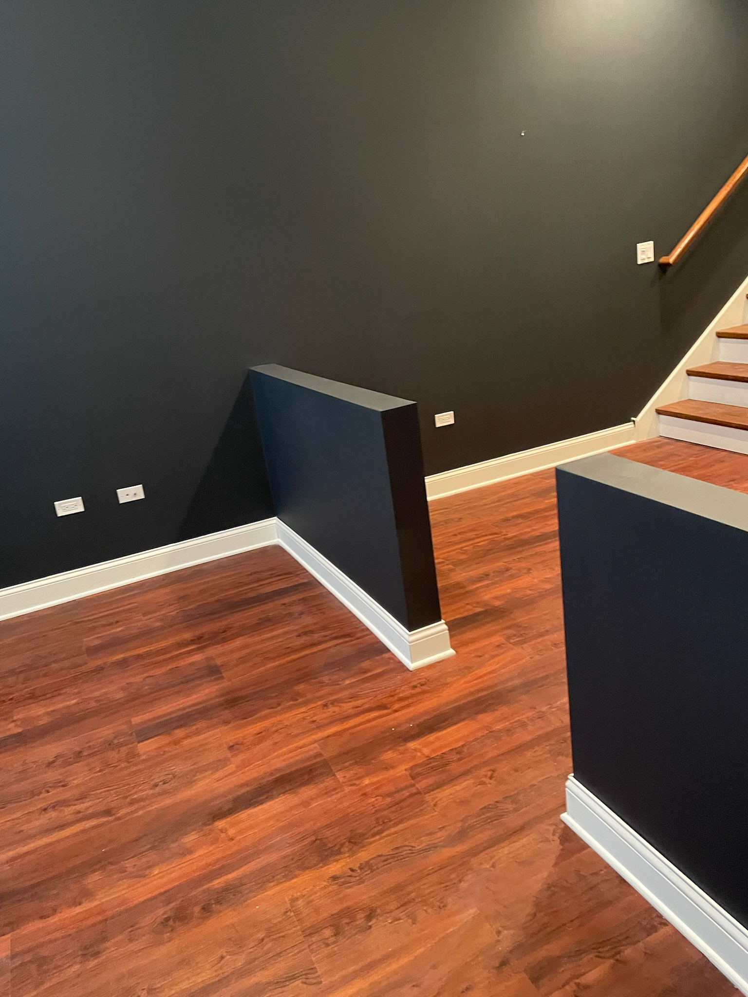 Bucktown, basement remodel