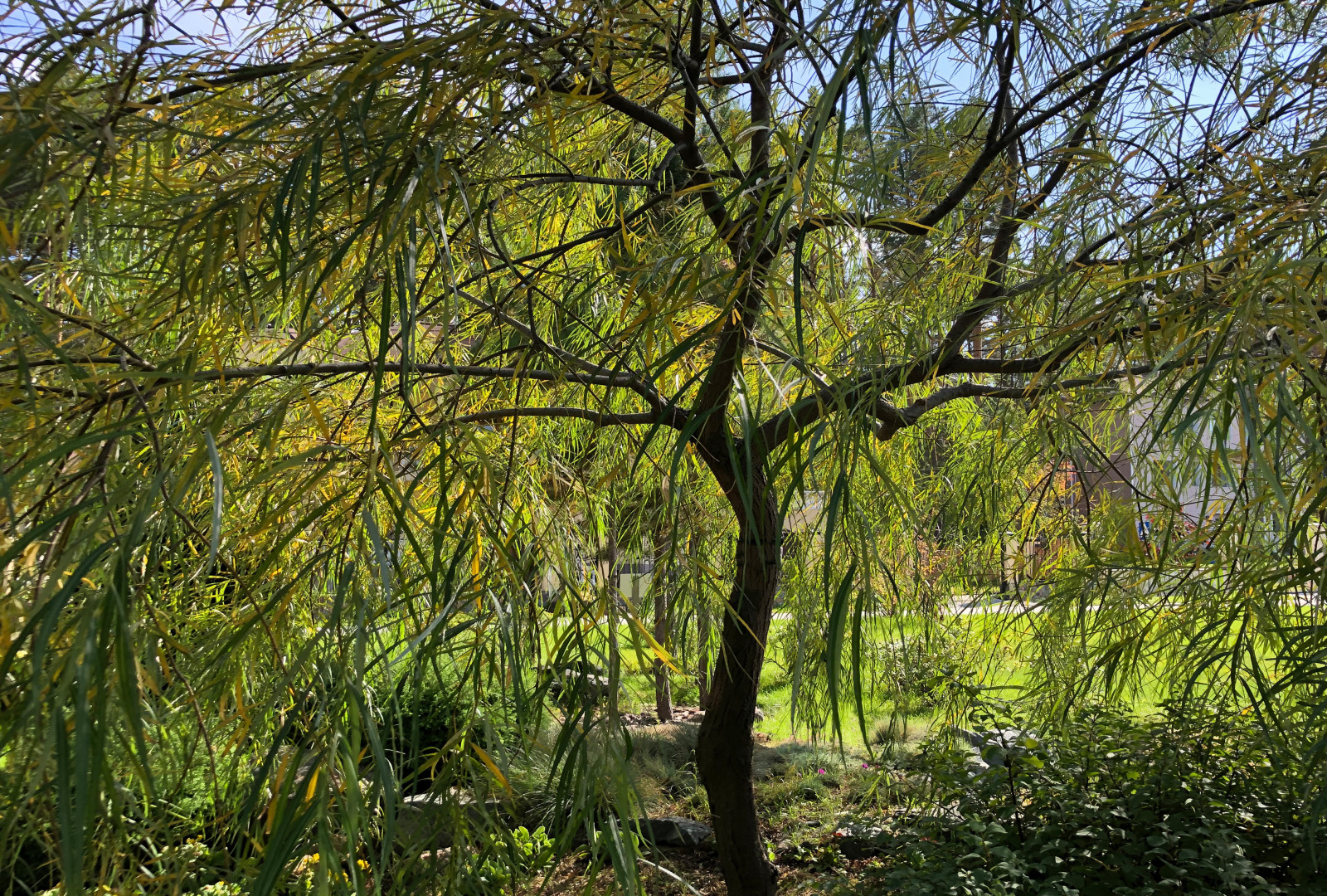 Дом у озера