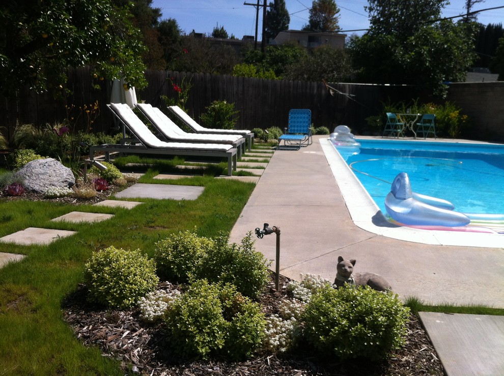 Back yard dry tolerant landscape in Van Nuys Los Angeles by 4