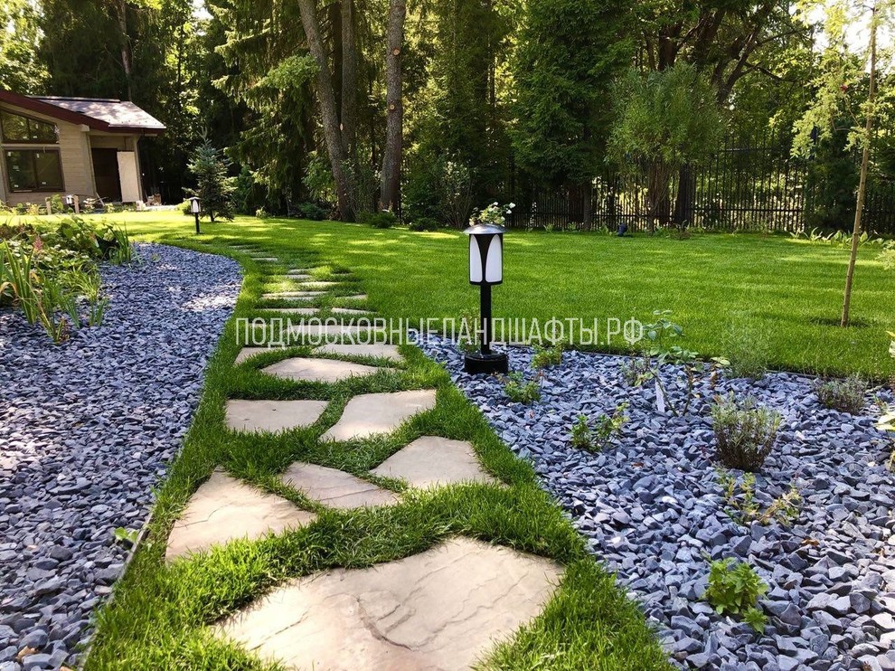 Лесные дали