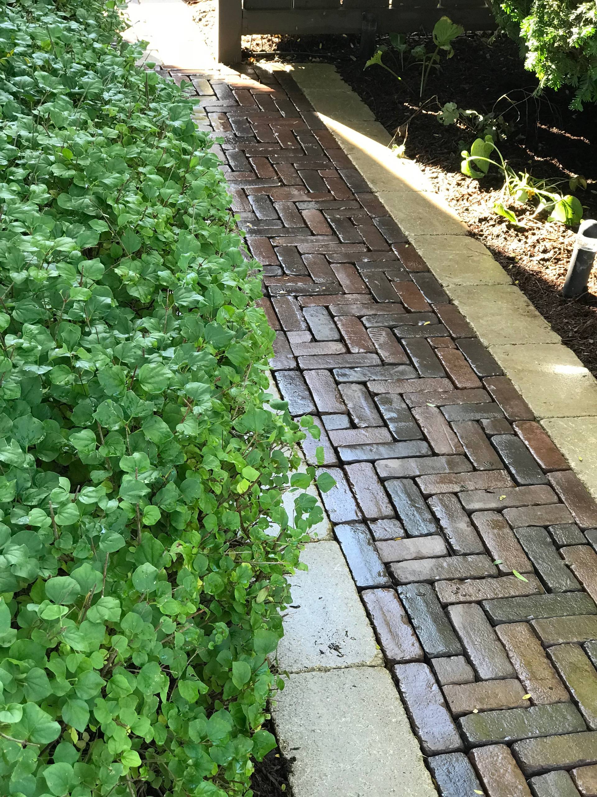 Designing with Hardscape