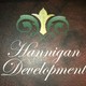 Hannigan Development