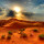 Desert Sun Drywall