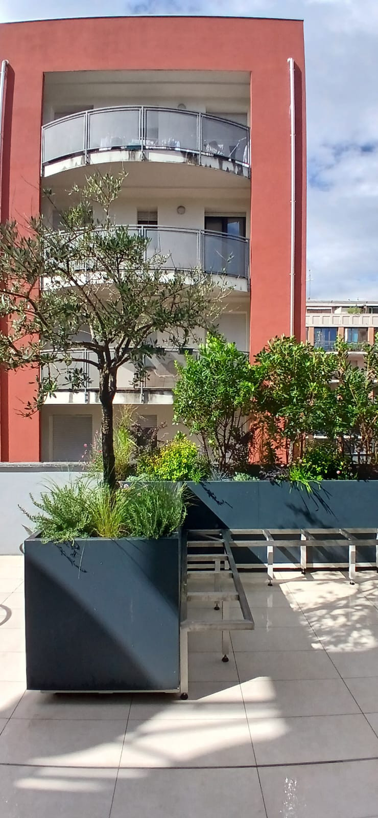 Realizzazione Terrazza dai sapori mediterranei