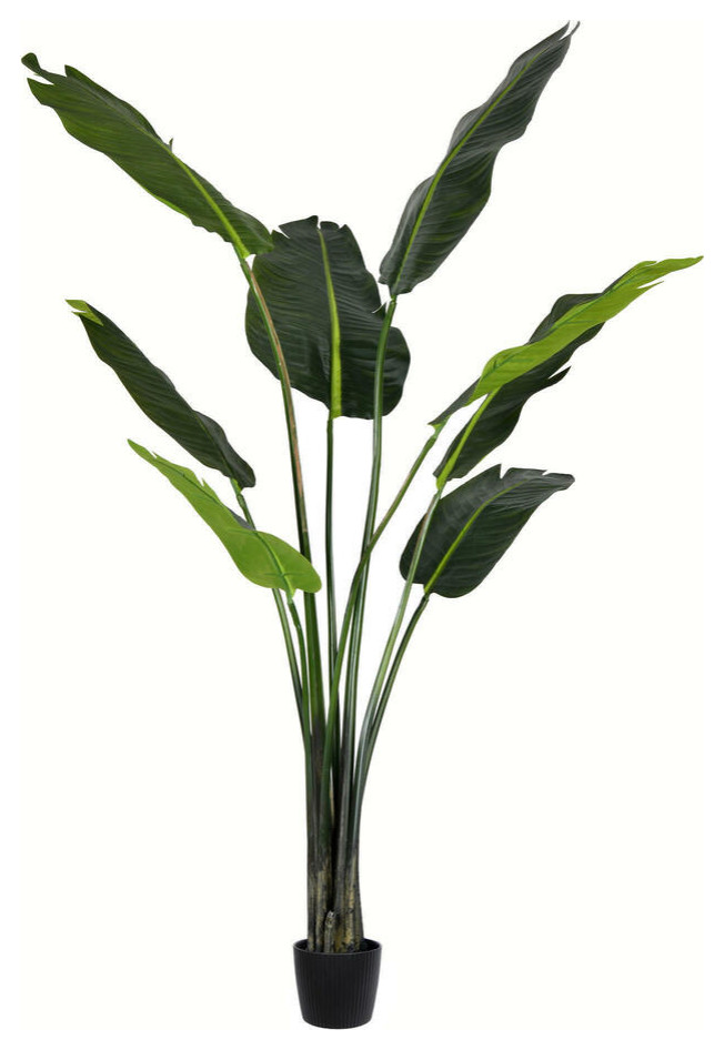 Vickerman 5' Artificial Potted Travellers Palm Tree Contemporary